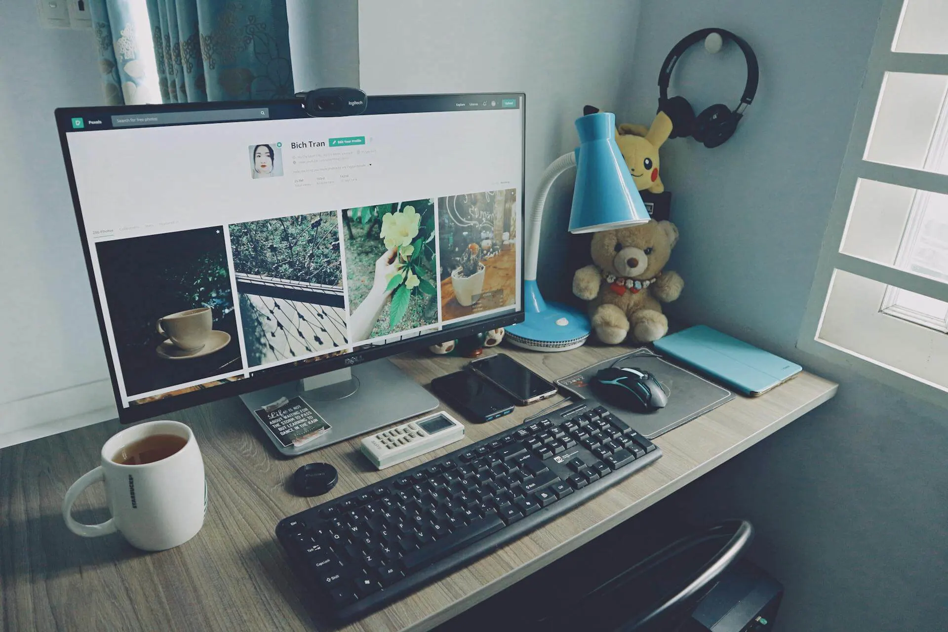 Web development team